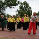 Nuvilnijo vasariškų pramogų kupinas tarptautinis festivalis senjorams „Wind of change“  (foto)