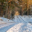 Kur šį savaitgalį vyks „Biorina Winter Rally Rokiškis 2026“? (žemėlapiai)
