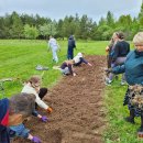 Puošia Velykalnio parką: jau augančių ąžuolų ir narcizų plantacijas šiemet papildė jurginai