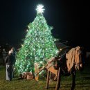 Išrinktos gražiausiai šv. Kalėdoms pasipuošusios rajono sodybos: ypatingas dėmesys – Panemunėlio seniūnijai