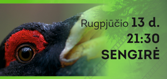 Ketvirtadienį „Eglių slėnyje“ - dokumentinė poema „Sengirė“