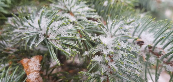 Sinoptikai perspėja: šaltukas primins, kad artėja žiema