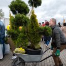 Balandžio 6 d. sodinukų mugė „Aš sodinu“ suburs žymius sodininkus ir medelynus į Rokiškį