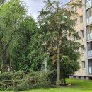 Rokiškį nusiaubė audra (video+foto)