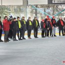 Globos namų bavariško akmenslydžio čempionatas (foto+video)