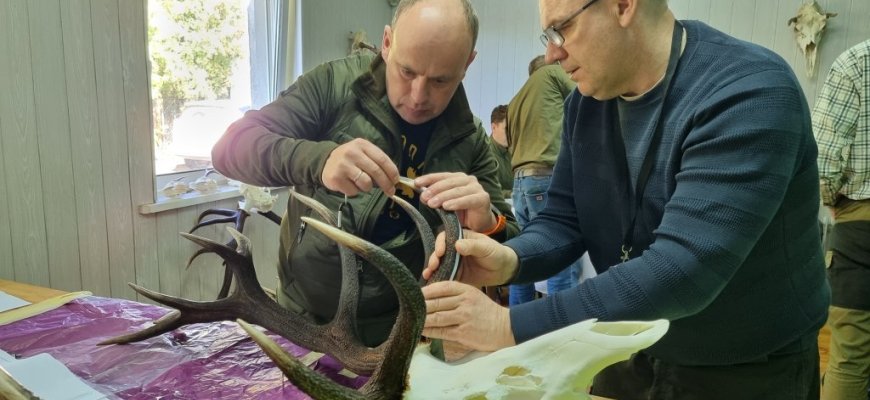 Medžioklės trofėjai jau suskaičiuoti: Rokiškis spindi atsakingo požiūrio į veiklą aukštumose