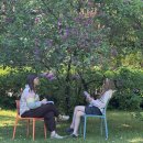 „Širšių lizdas“ – stovykla ne apie pykčius, o apie tvirtą tarpusavio ryšį (foto)