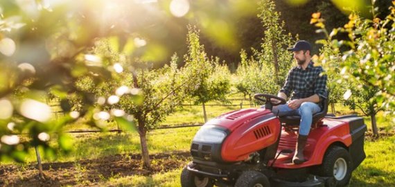 5 mitai, kuriuos dažniausiai girdime apie sodo techniką 