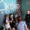 Vos „neplyšo“ Rokiškio baseinas: „Rokiškio taurė 2026“ varžybose startavo beveik 200 plaukikų