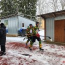 „Grizliai“ įveikė „Vilkus“ – pergalėmis pažymėtas žaidimas pamažu įsibėgėja 