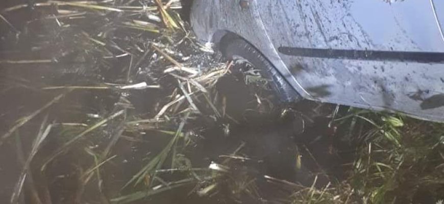 Upelyje prie Ruopiškio- netikėtas radinys (foto)