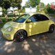 „VW Beetle“