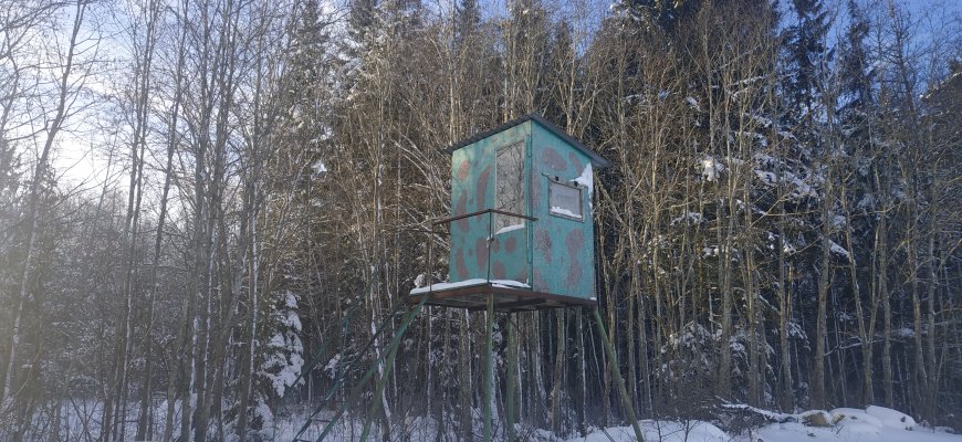 Aplinkosaugininkai per metus nustatė daugiau kaip 300 medžioklės pažeidimų