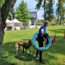 Ilzenbergo dvaro tradicija – šunų festivalis: šį kartą nustebino aklo šuns pasirodymas (foto)