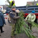 Rokiškėnai namo nešėsi eglės ir pušies šakų bei pirmą kartą – Betliejaus taikos ugnį (foto)