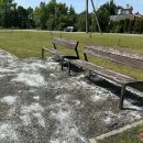 „Pabalo“ miesto takeliai: piktžoles naikina druska (foto)