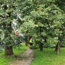 Dešimtmečių naujiena – bus atnaujintas krūmais apaugęs pėsčiųjų takas Vilniaus g. atkarpoje 