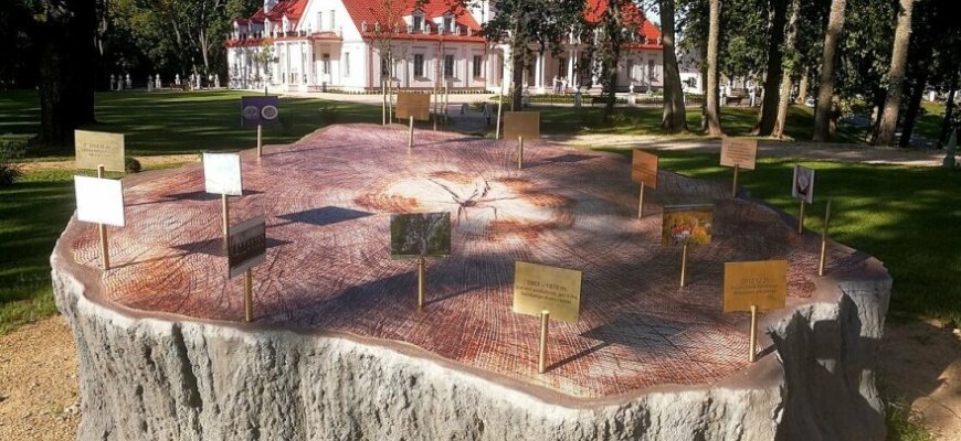Rokiškio rajone 3D technologijomis sukurta Stelmužės ąžuolo kamieno kopija