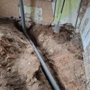 Iš ligos šešėlio į šiltus namus: kaip juodupėnai renovavo svajonę