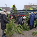Rokiškėnai namo nešėsi eglės ir pušies šakų bei pirmą kartą – Betliejaus taikos ugnį (foto)