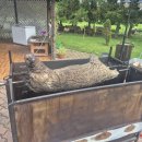 Rokiškio kultūros įstaigos Kultūros dieną paminėjo turiningomis išvykomis (foto)