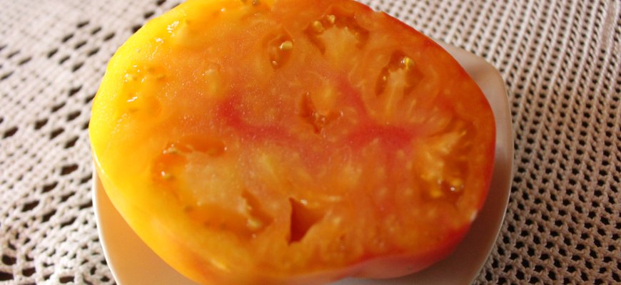 Bikoloras Peppermint – ir skoniui, ir grožiui