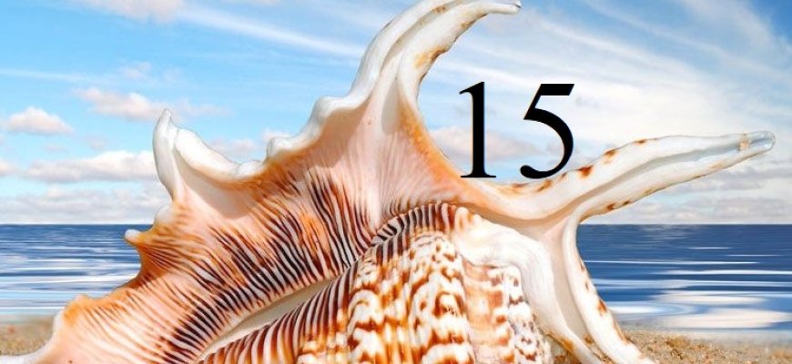 Liepos 15-oji Lietuvoje ir pasaulyje
