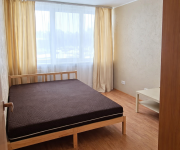 Dviejų kambarių butas