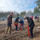 Rokiškėnų „Laisvės miškas“ sužaliuos Bajorų girioje – įvyko nacionalinis miškasodis (foto)