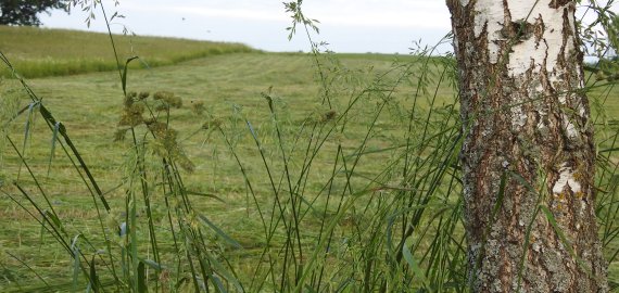 Nemokami mokymai ūkininkams