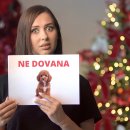 Specialistai ragina nedovanoti gyvūnų: kodėl tai gali turėti liūdnas pasekmes?