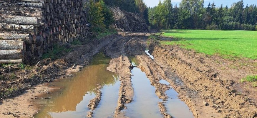 Miškavežių suniokotas kelias neliko nepastebėtas: po gyventojo skundo – įsipareigojimas sutvarkyti