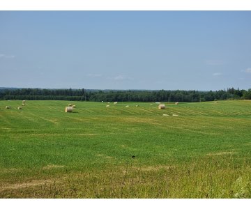 Žemė Obelių seniūnijoje