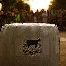 Pirmoji „Rokiškio Grand Rally“ diena: lyderiu tapo Deividas Gezevičius su Evaldu Kvederiu (foto)