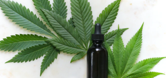 Linų sėmenų aliejaus nauda