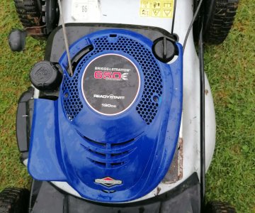 „Briggs Stratton 650“