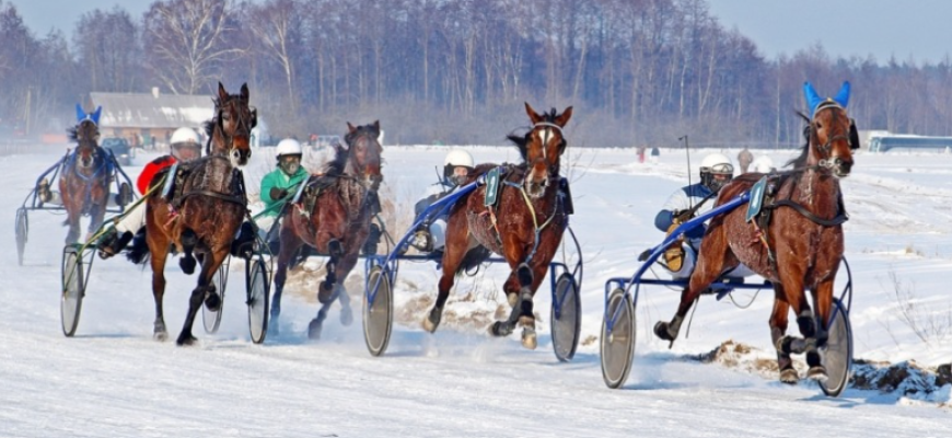 Skelbia, kada įvyks žirgų lenktynės „Sartai 2026“