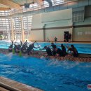 Neatrasti savaitgalio potyriai – rokiškėnai praleido progą „susipažinti“ su drakono valtimi (foto+video)