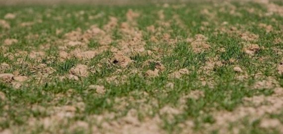 Mobilioji Žemės ūkio ministerijos komanda pagelbės ūkininkams spręsti sunkumus