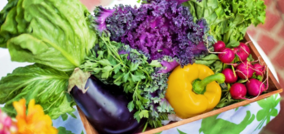 Kaip susikurti tobulą daržą?