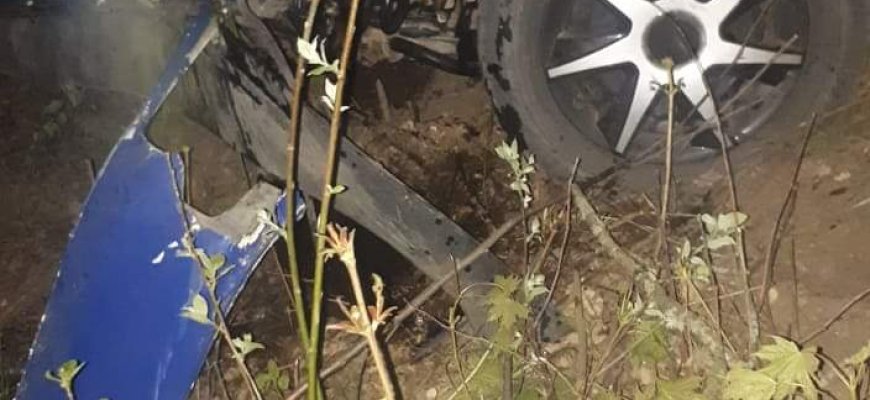Girtutėlis vairuotojas rėžėsi į medį (foto)