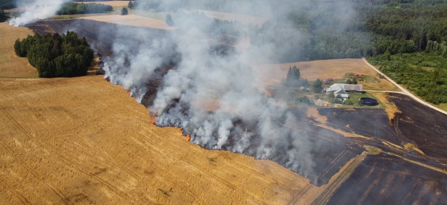 Įpusėjus 2026-uosius nerimą kelia išaugęs gaisringumas Rokiškio rajone