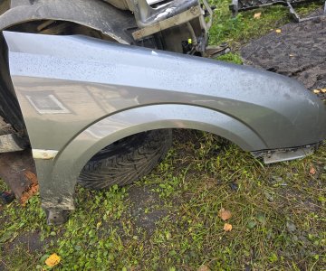 Dalimis „Opel Signum“