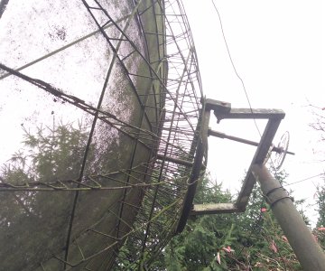 Palydovinė antena