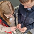 Rokiškyje atgyja žaidimas „Geocaching“: prieš savaitę D. Stepanovas papildė lobių slėptuvių vietas 