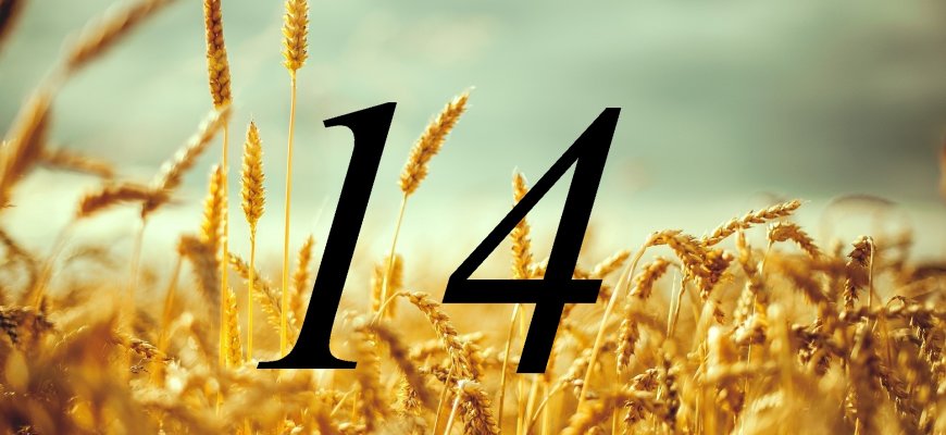 Rugpjūčio 14-oji Lietuvoje ir pasaulyje