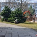 J. Tūbelio progimnazija keičiasi: gražinamas ne tik vidus, plečiama ir automobilių stovėjimo aikštelė (foto)