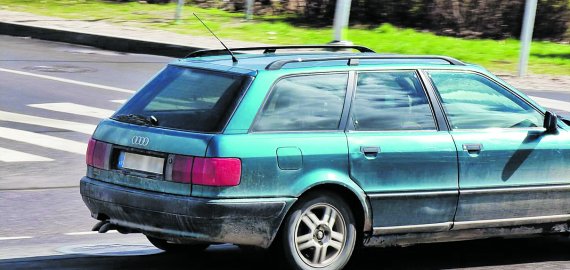 Vogtos girnos svajotų pinigų neatnešė, tik bausmes
