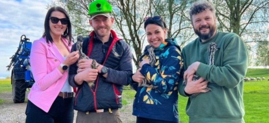 Nelaimės ir toliau persekioja P. Šiaučiūną: konfiskuotas vienintelis likęs ZIP FM radijo stoties dovanotas strutis