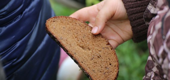 Per savaitgalį vykusią „Maisto banko“ aukota mažiau nei pernai